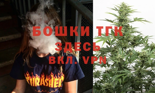 соль ск Белокуриха