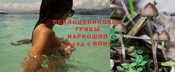 jwh Богородицк